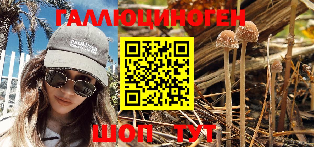 Галлюциногенные грибы MAGIC MUSHROOMS  Псилоцибиновые грибы ЛСД  Вход с VPN  Джанкой 
